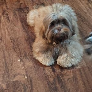 Meet your Posher, Donna